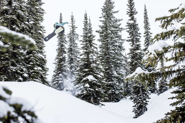POWDER HOUNDS VIDEO