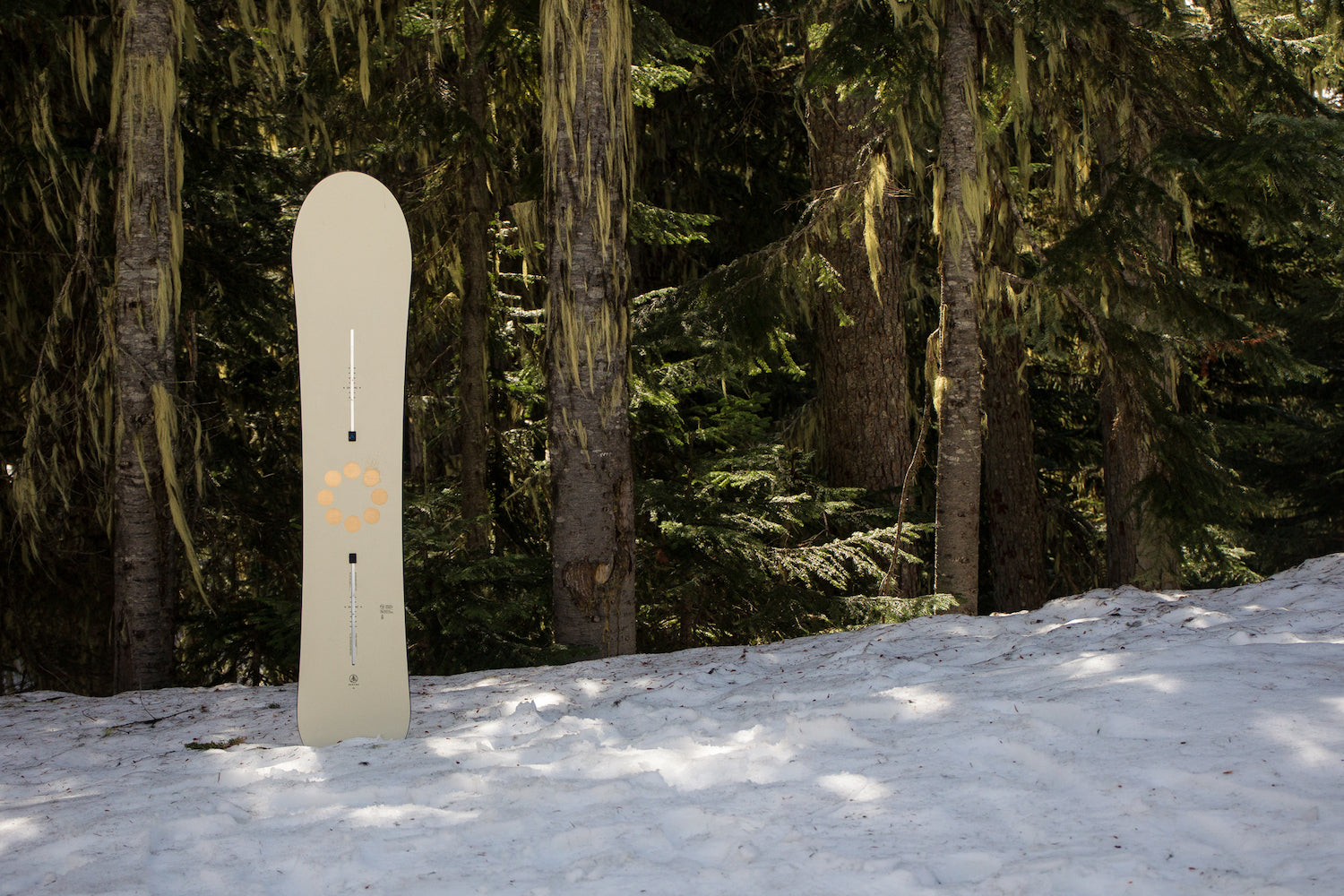burton gril master ltd camber snowboard Family Tree Winter 2026 Its a refined build that balances strength Burton Family Tree Gril Master