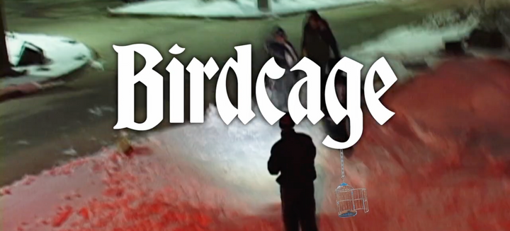 Birdcage | Downhill Hockey Club