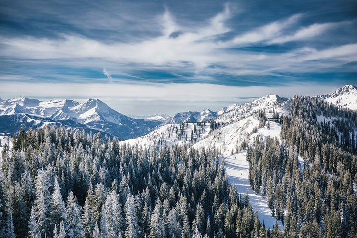 BRIGHTON RESORT | MICRODOSE 1
