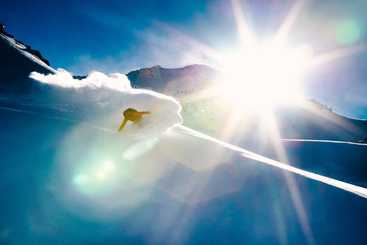 MARIE-FRANCE ROY FULL PART | ARBOR'S COSA NOSTRA