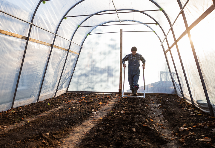 YAH DON'T SAY? | PHIL TRIFIRO-RIENDEAU TALKS AGRICULTURE