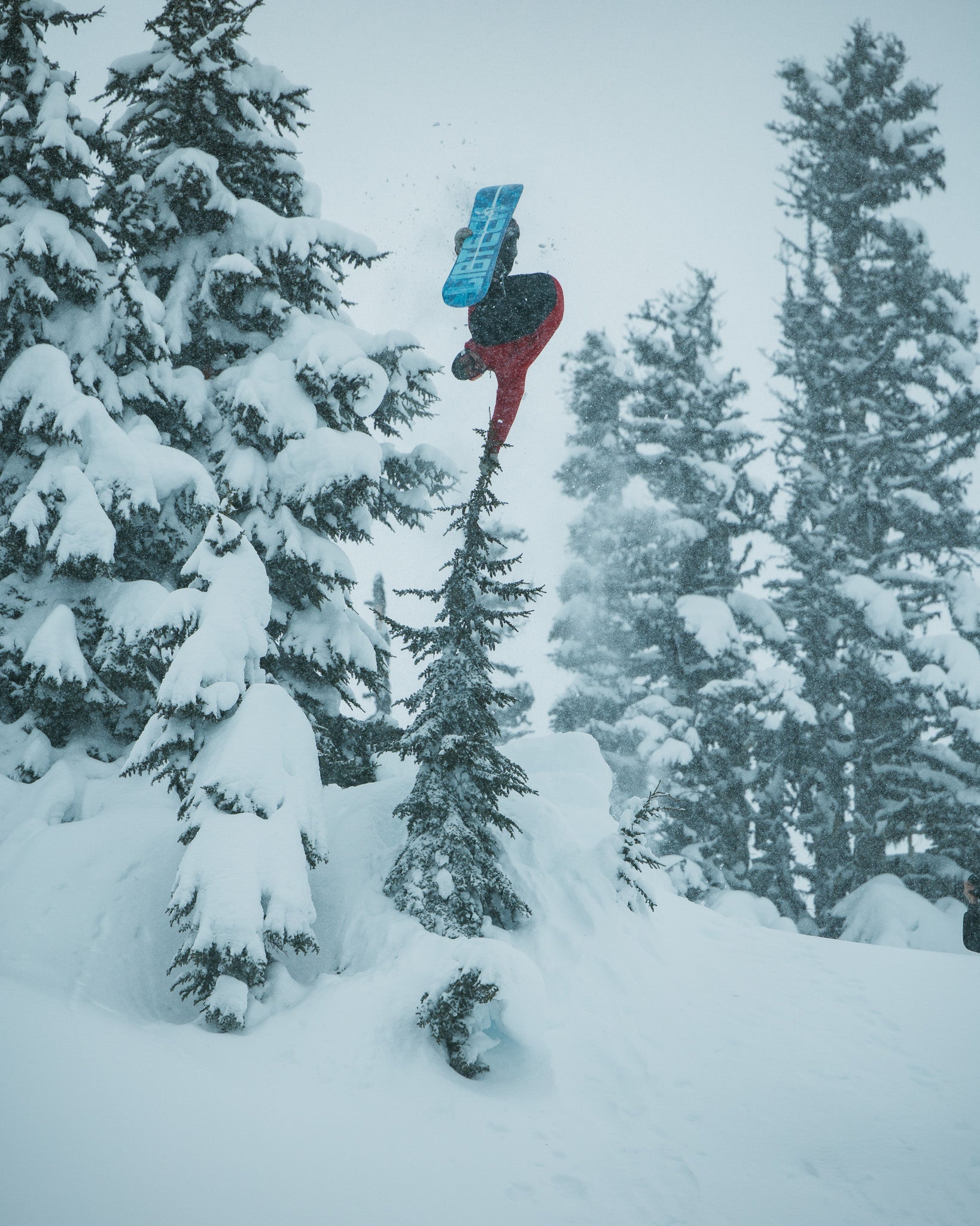 Catalogue | Chris Rasman