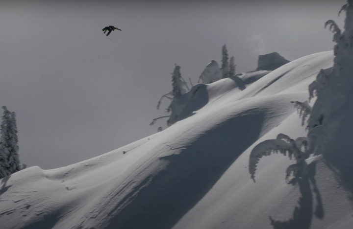 HALCYON | SAGE KOTSENBURG