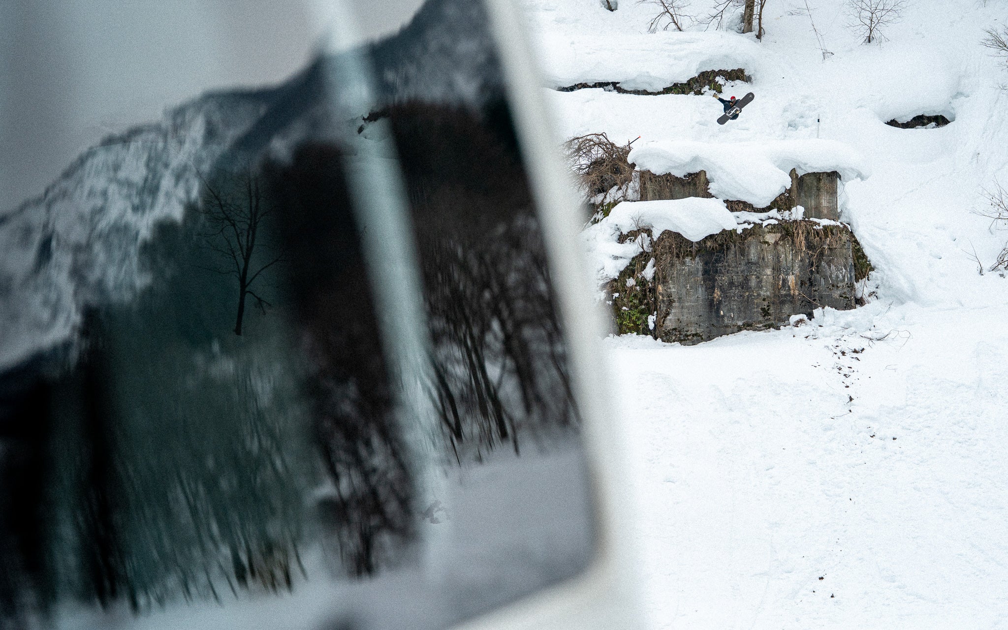 Roadside Roadkill | A Photo Essay from Japan
