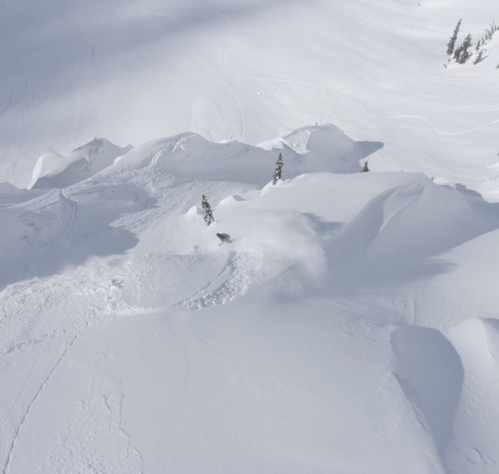 TAYLOR GODBER'S BACKCOUNTRY BONANZA