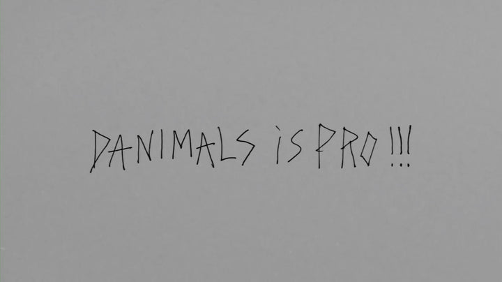 Danimals is Pro for Ride Snowboards