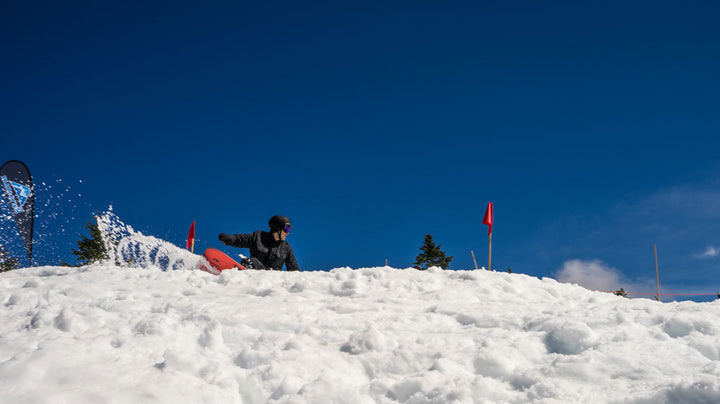 1st Annual Baked Salmon, Mt. Seymour