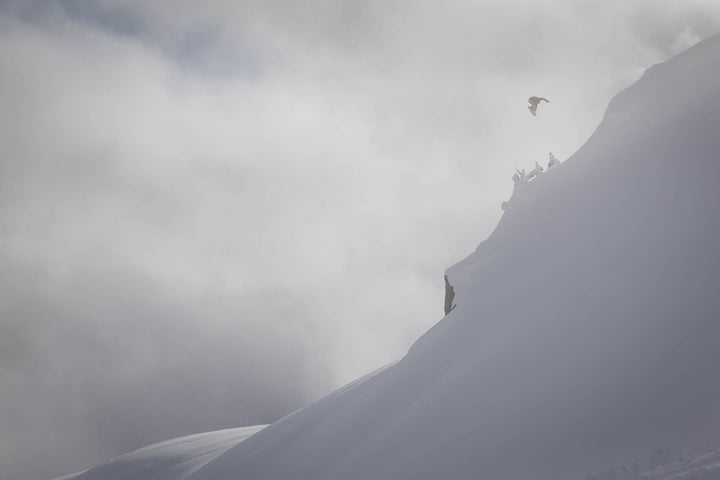 Mark Tremblay Full Part | Wildcats Never Die