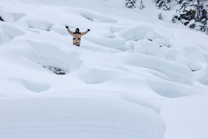 WHISTLER POW DAY EDIT | BRAIN CAGE