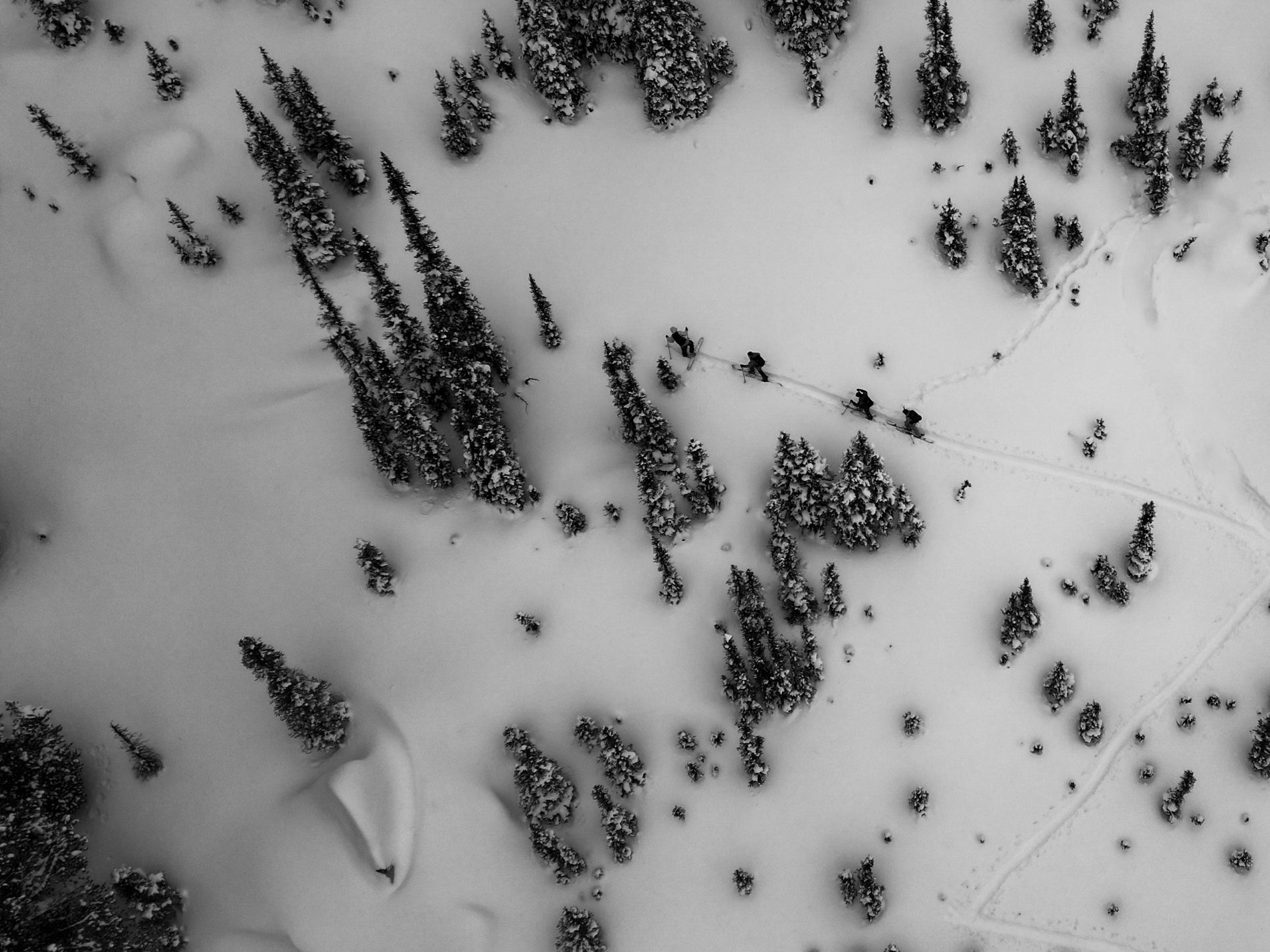 Pure & Wild | A Film and Essay on Sustainability